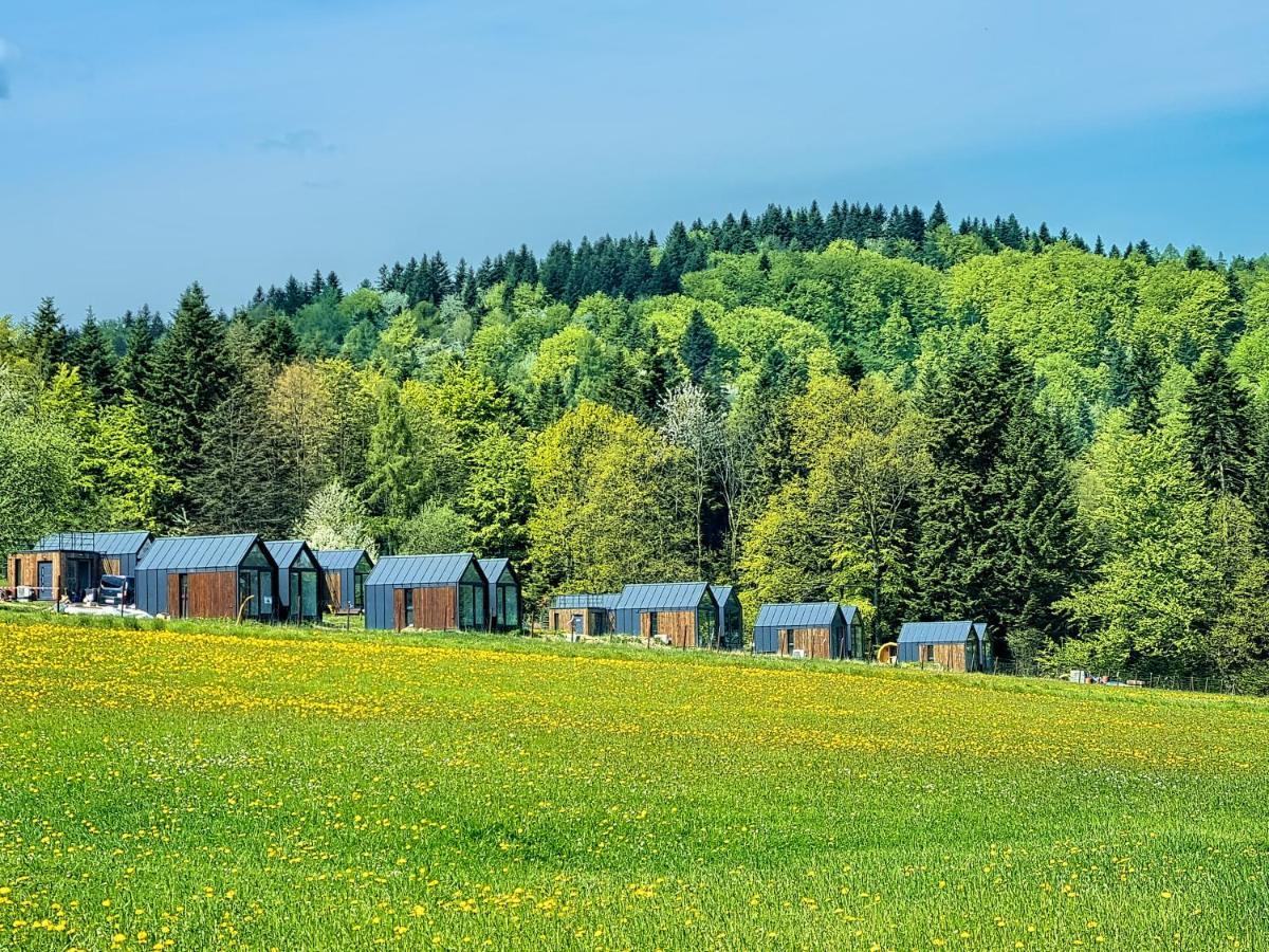 Klimkowka Pod Gwiazdami - Sauna, Jacuzzi, Basen Eksteriør billede