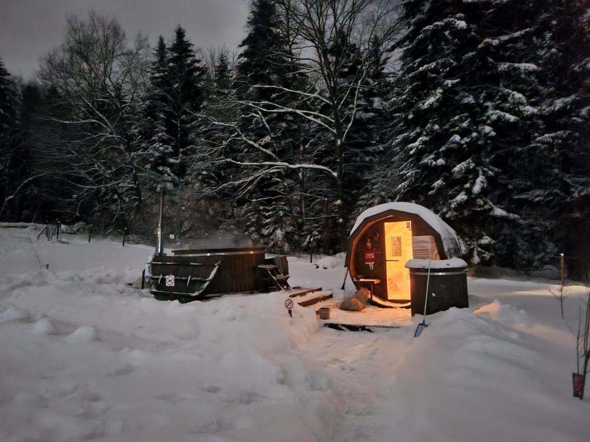 Klimkowka Pod Gwiazdami - Sauna, Jacuzzi, Basen Eksteriør billede