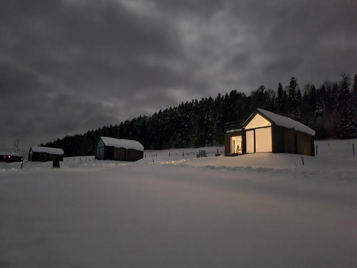 Klimkowka Pod Gwiazdami - Sauna, Jacuzzi, Basen Eksteriør billede